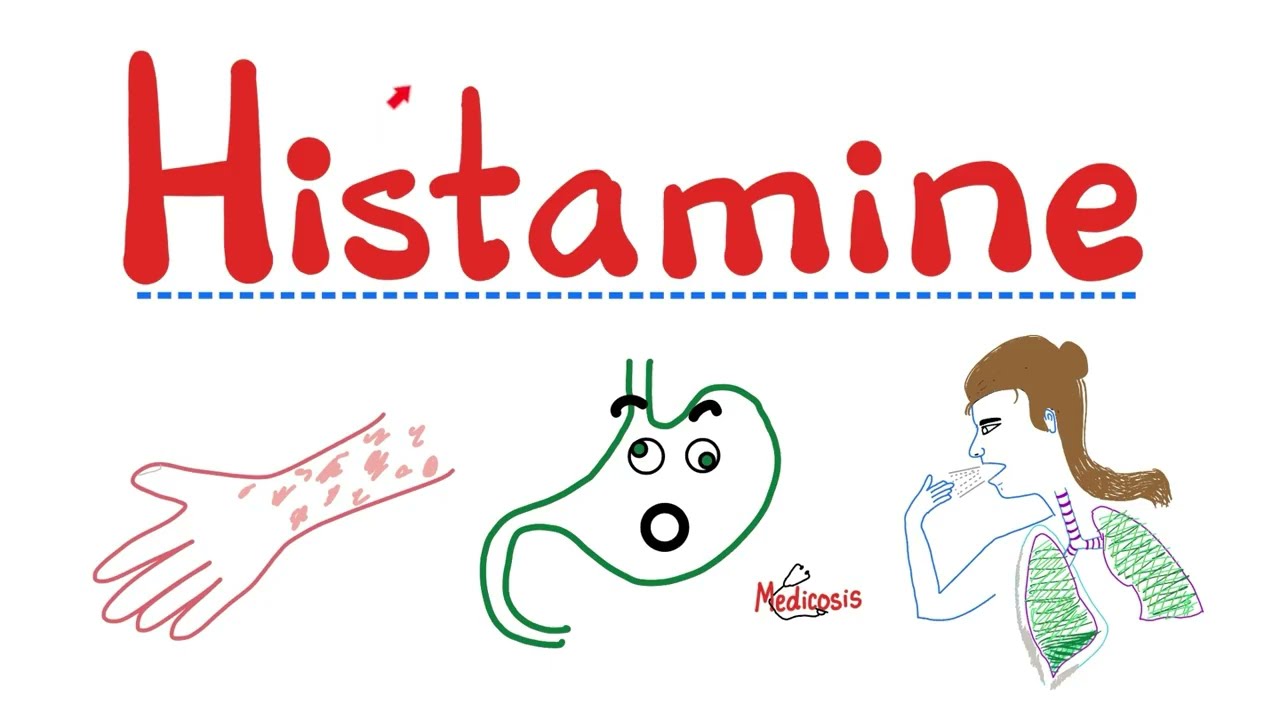 receptores de histamina h1 h2 h3 h4