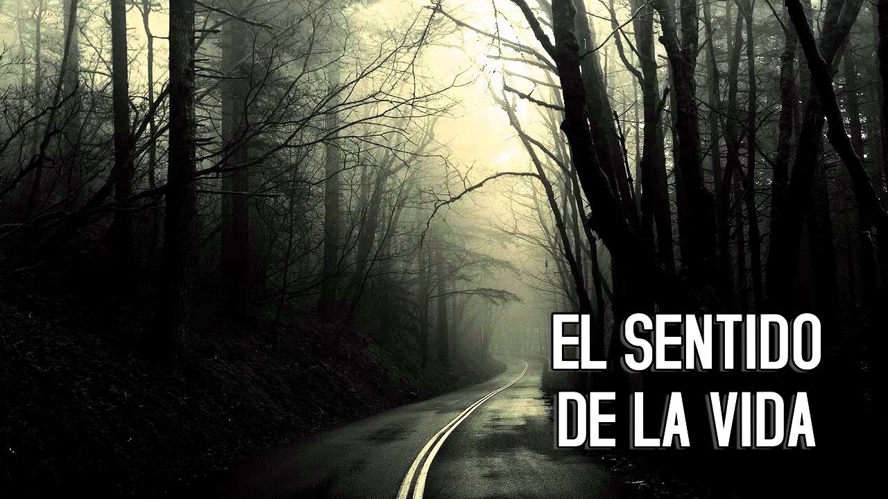 reflexion el sentido de la vida