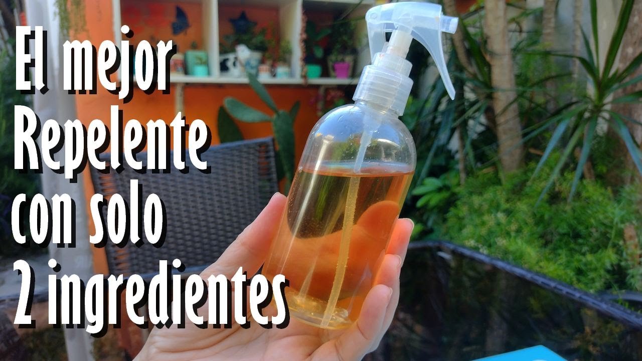 repelente mosquitos casero árbol de té