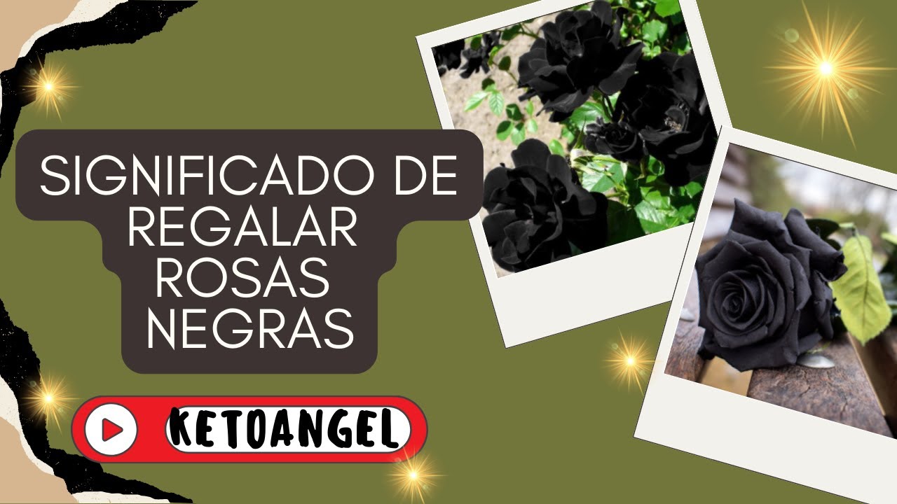 rosa negra significado en el amor