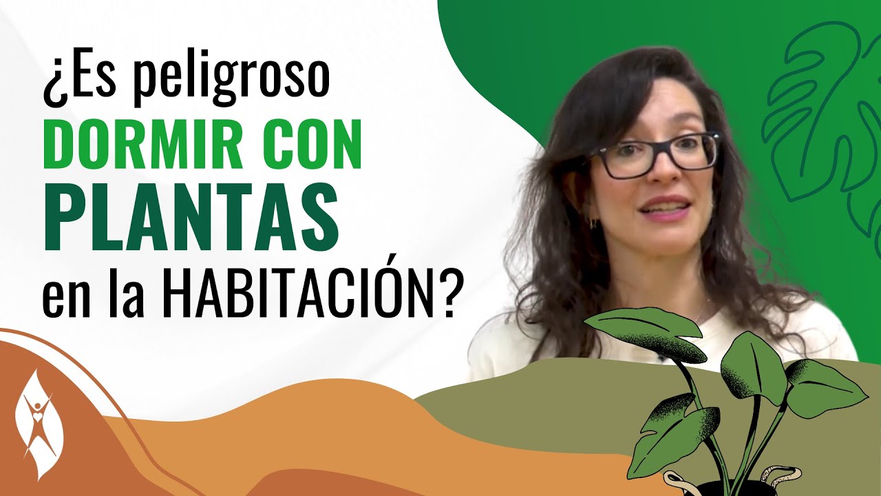 se puede dormir con plantas en la habitacion