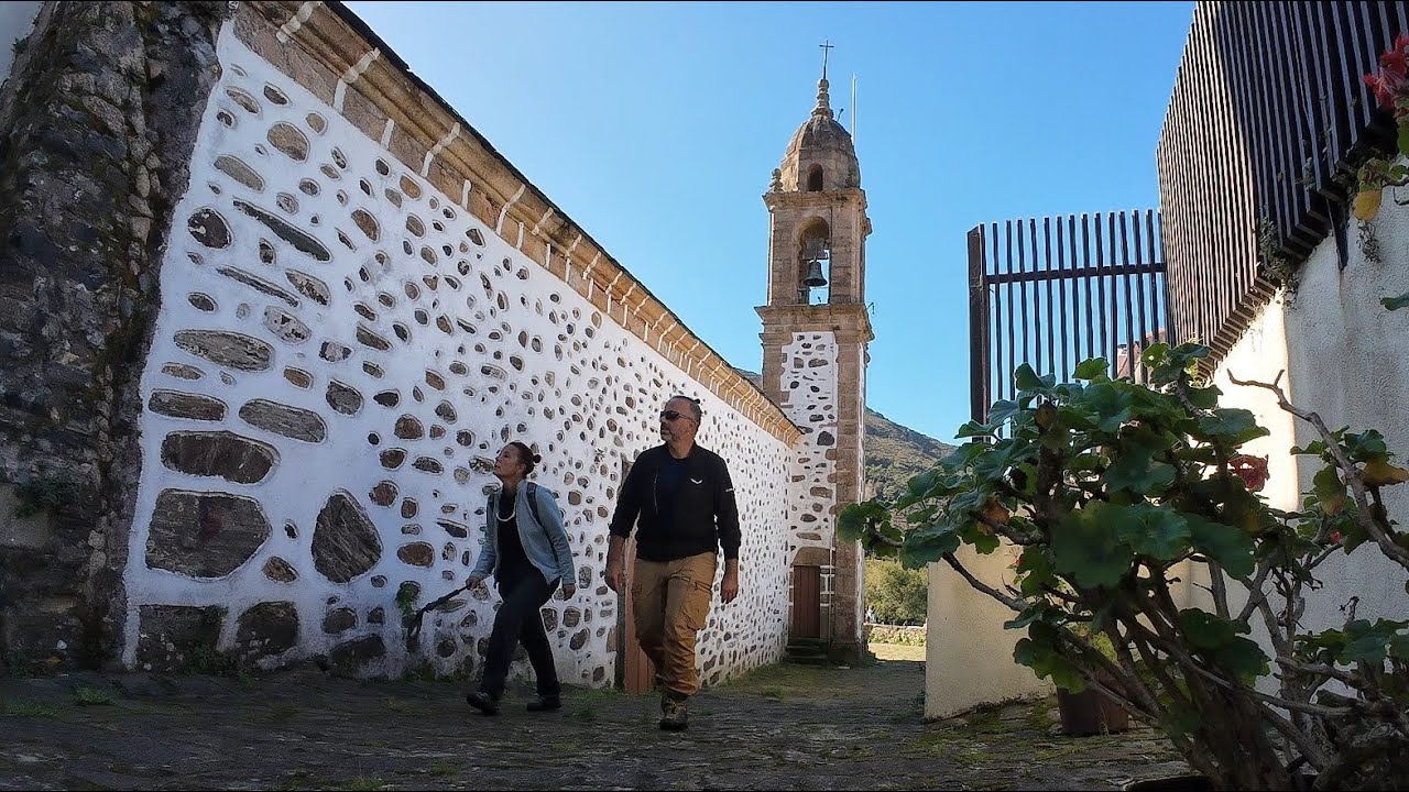 si no vas de vivo vas de muerto