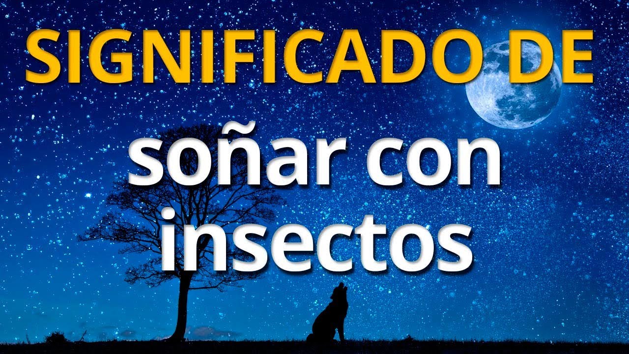 soñar con insectos grandes y extraños