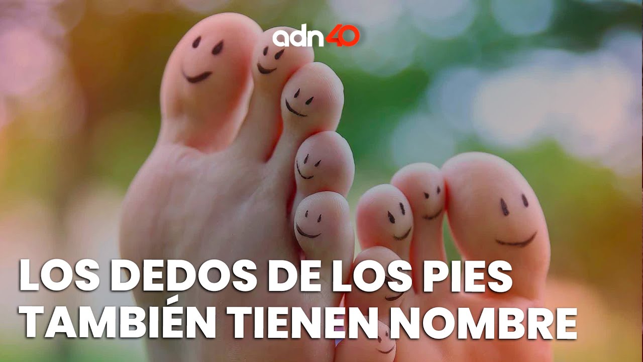 tipo de dedos de los pies