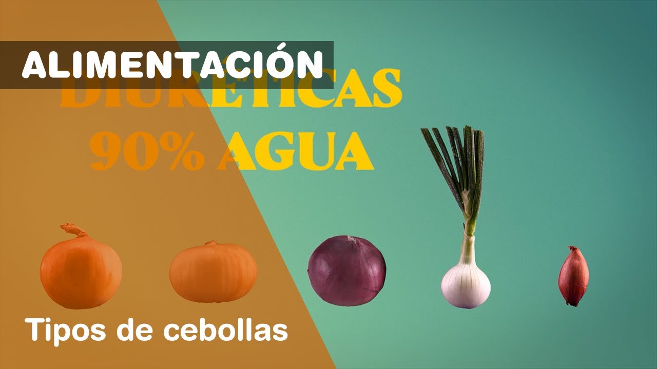 tipos de cebollas y sus usos