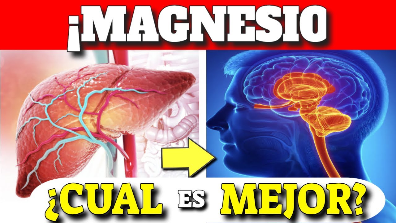 tipos de magnesio y para q sirven