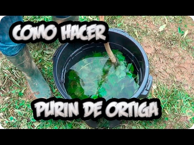 agua de ortigas para las plantas
