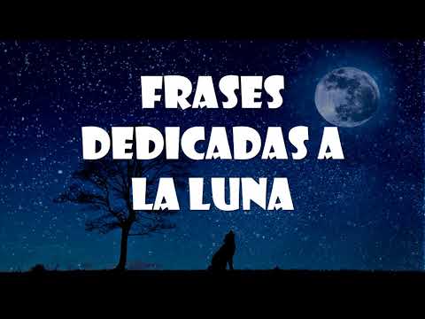 bonitas frases de la luna y el mar