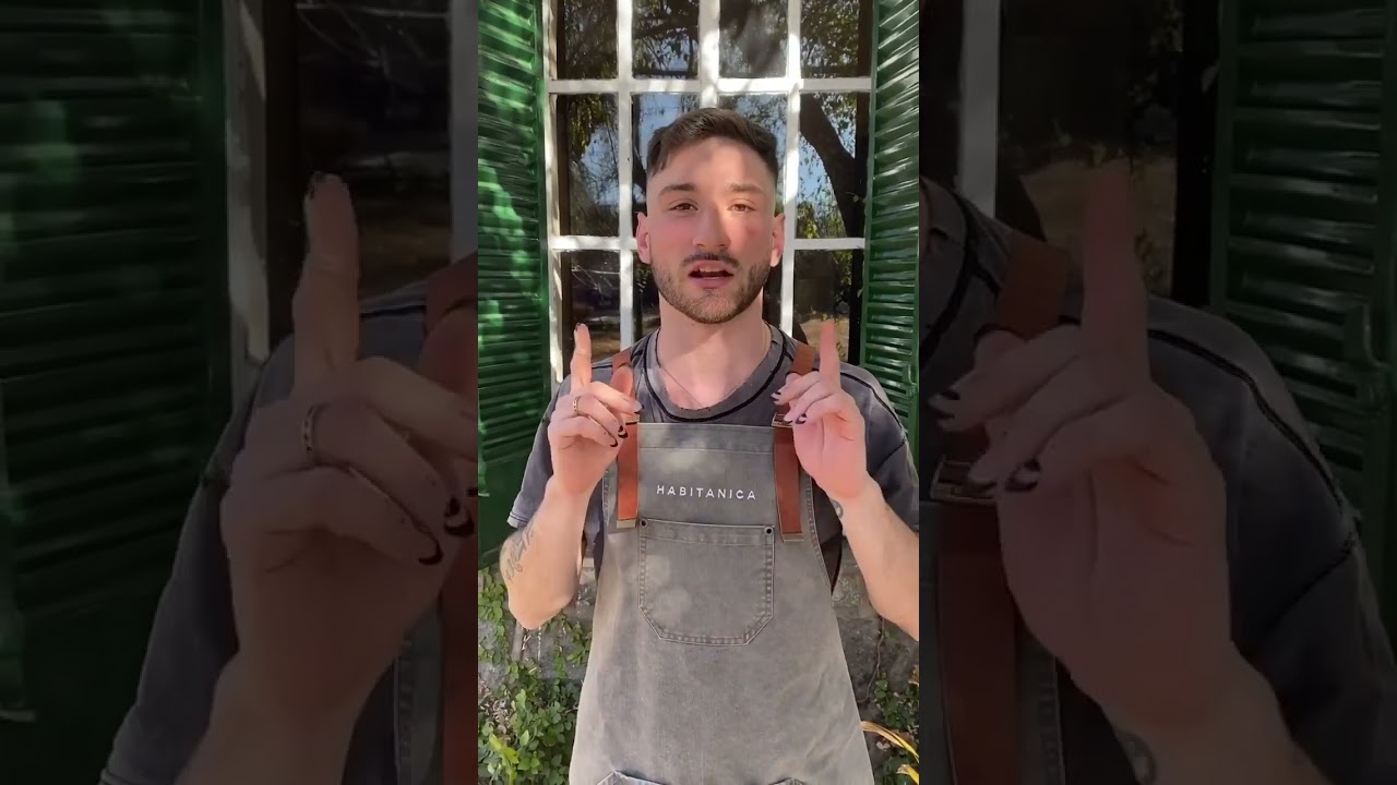 cada cuanto regar las plantas en verano