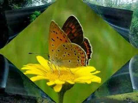 carta de amistad para un amigo