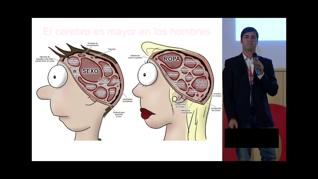 cerebro del hombre y la mujer