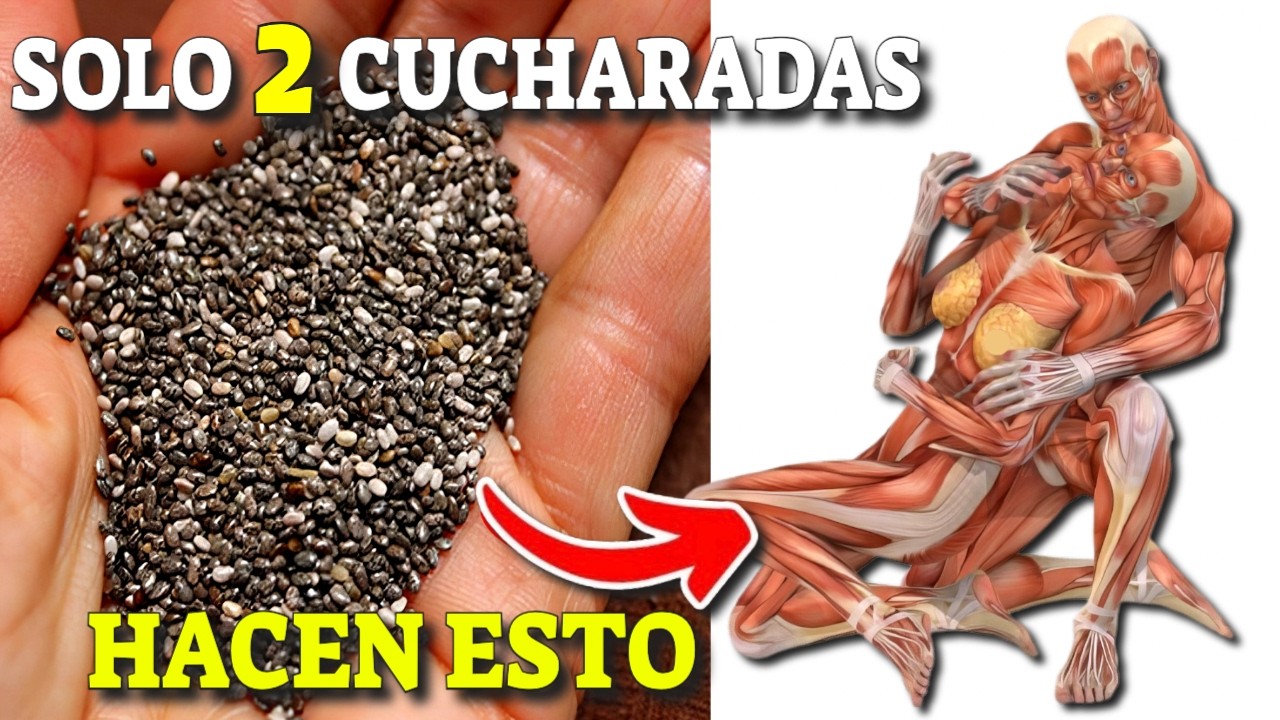 como hidratar las semillas de chia