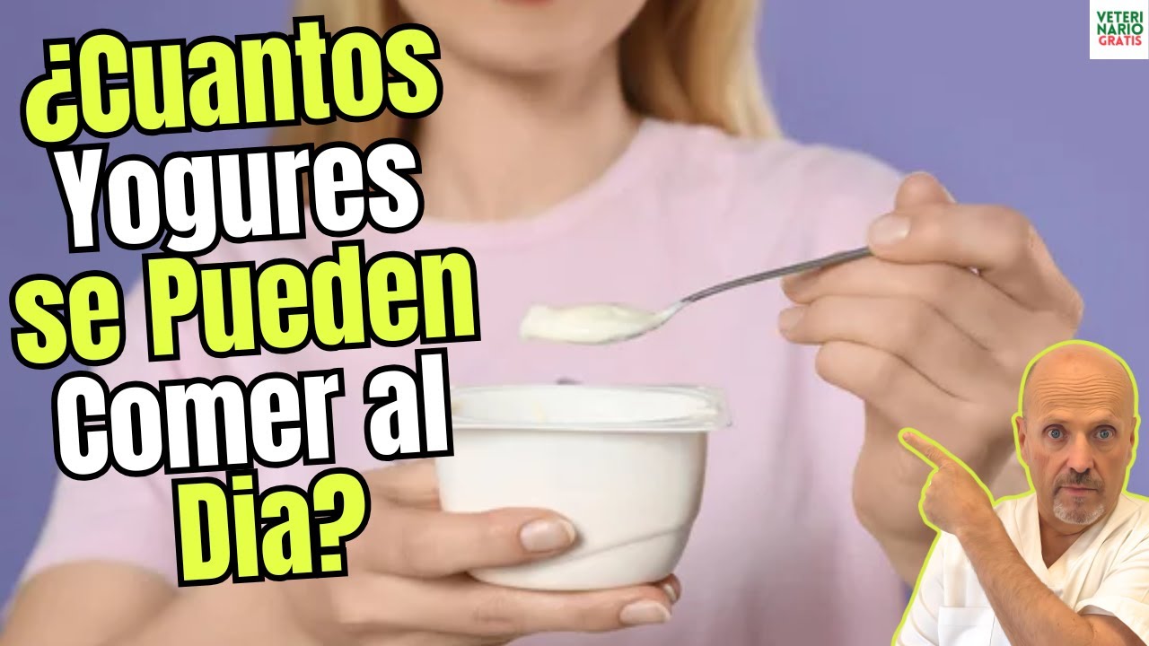 cuántos yogures se pueden tomar al día