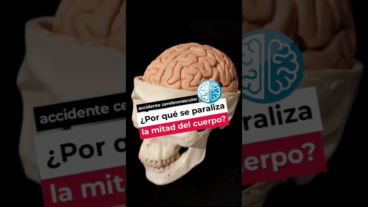 defecto o trastorno del lenguaje por una lesión
