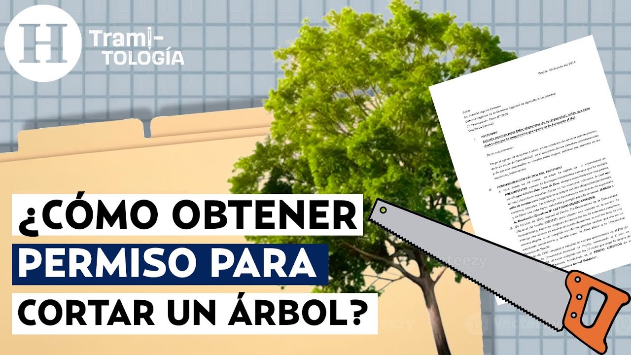 donde pedir permiso para cortar leña