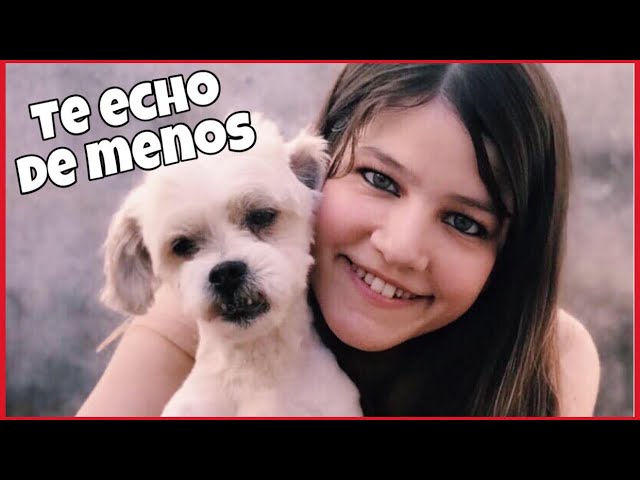 echo de menos a mi perro