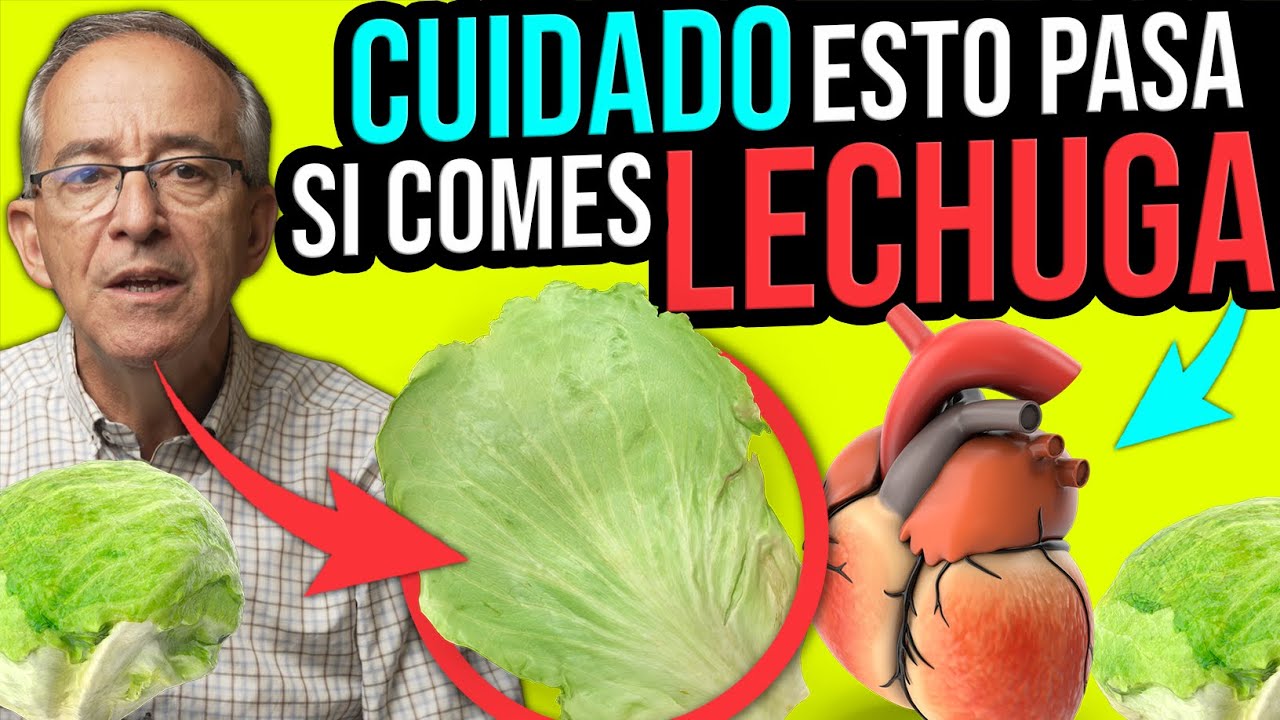 es bueno comer lechuga todos los días