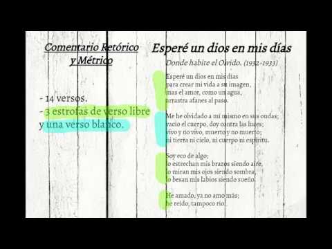 espere un dios en mis dias