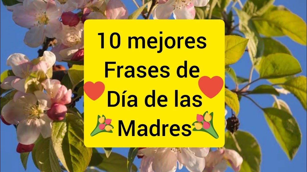 frase para el día de la madre