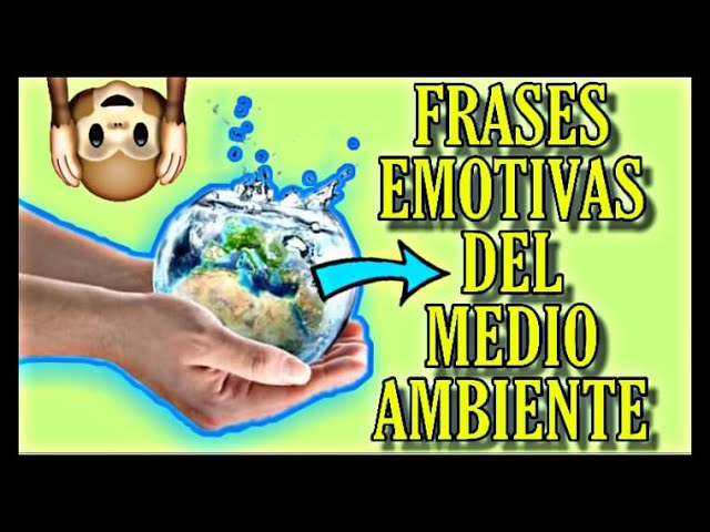 frases para cuidar el medio ambiente