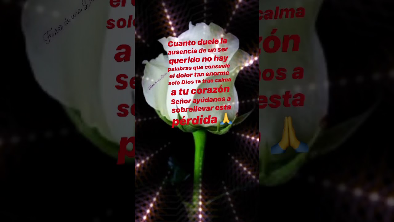 frases por la perdida de un ser querido