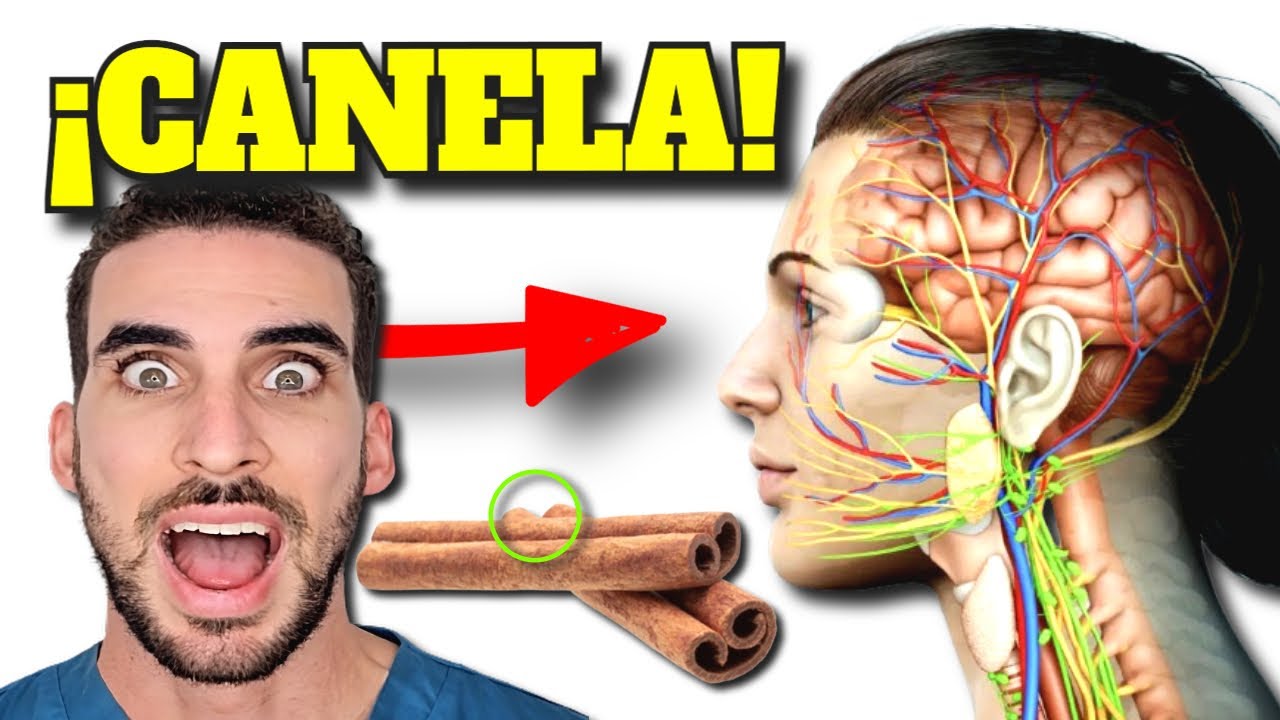 la canela ayuda a la digestión