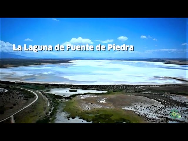 laguna fuente de piedra cuando ir