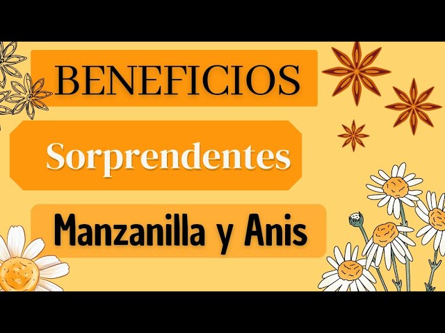 manzanilla con anis para q sirve