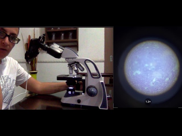 para q sirve el tornillo micrométrico del microscopio