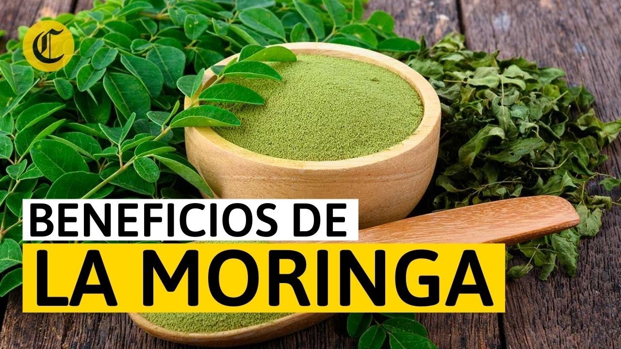 para q sirve la moringa y como se toma