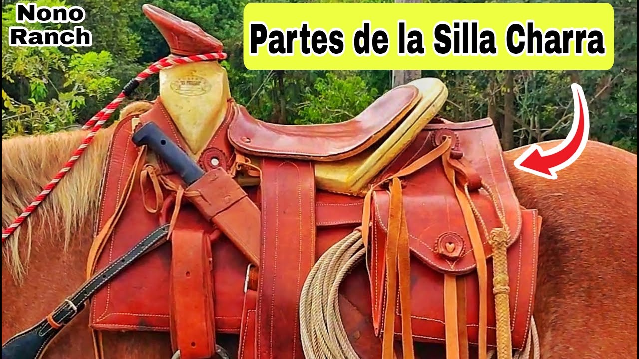 partes de una montura de caballo