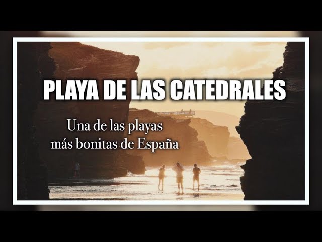 playa de las catedrales con perro