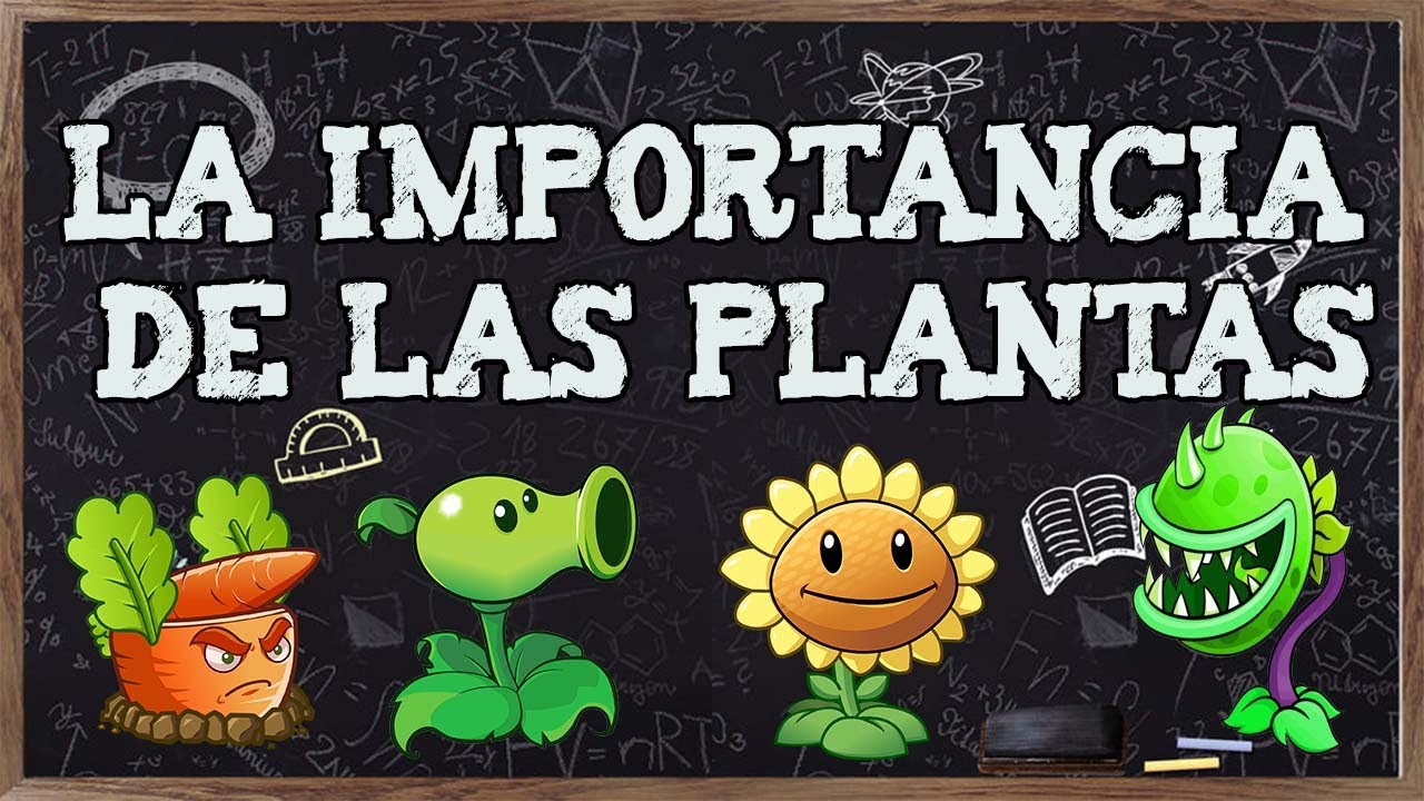 por que las plantas son importantes