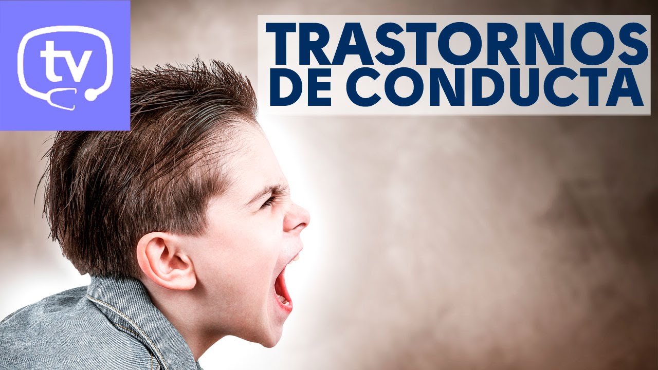 problemas de conducta en niños de 5 a 6 años