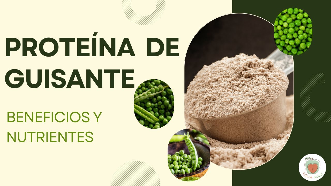 proteína de guisante para que sirve