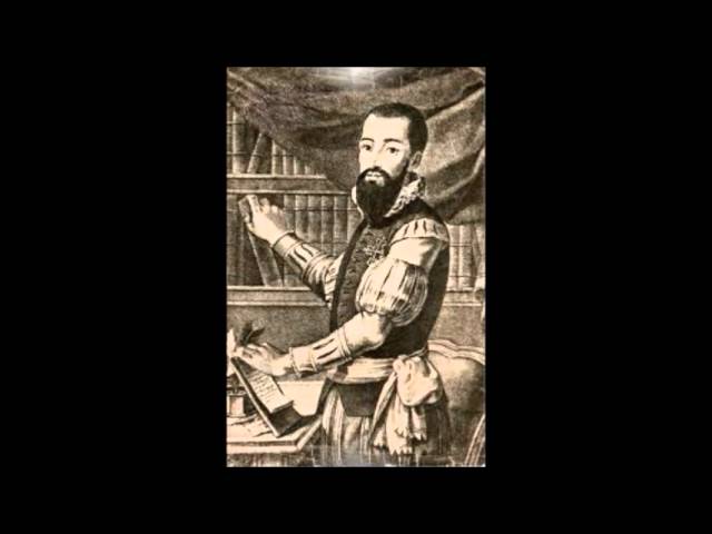 soneto 11 garcilaso de la vega