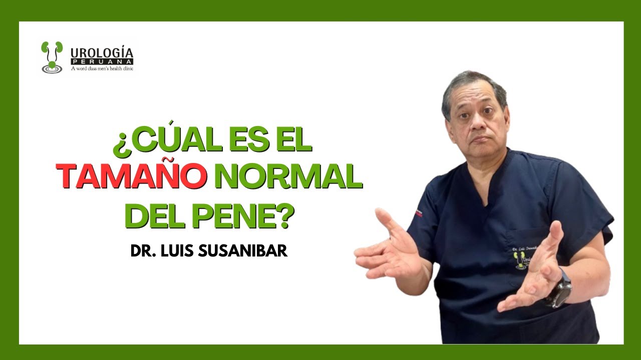 tamaño promedio del miembro masculino a los 12