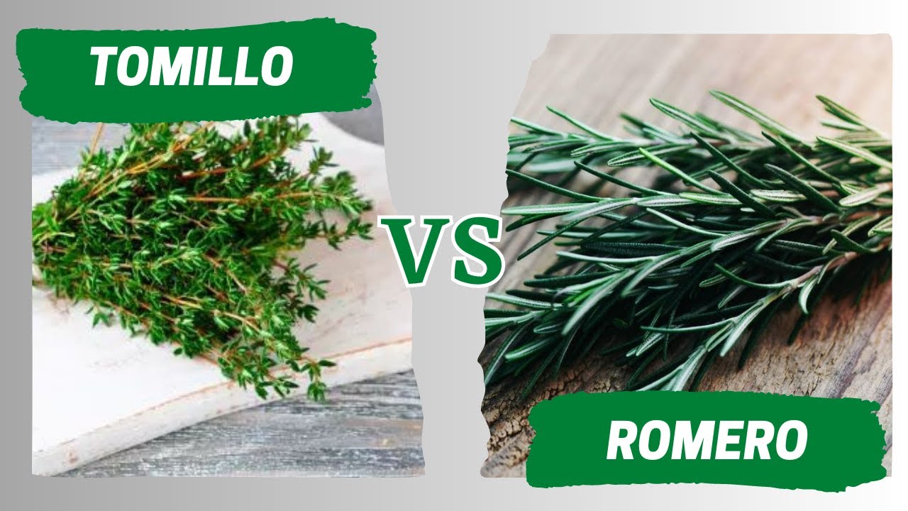 tomillo y romero es lo mismo