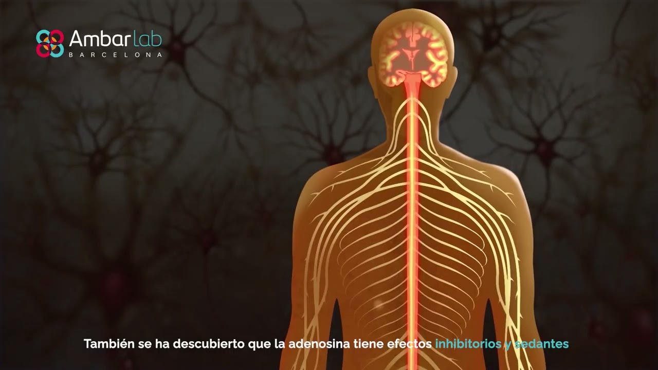 adenosina para que sirve en la piel