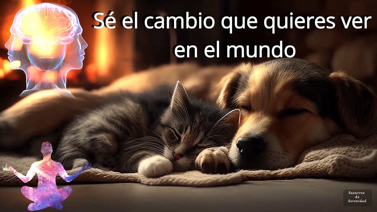 al calor de la chimenea frases