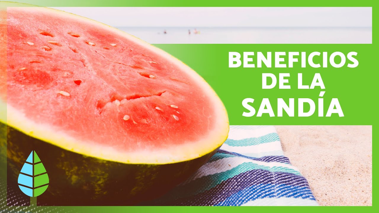 beneficios de comer sandia todos los dias