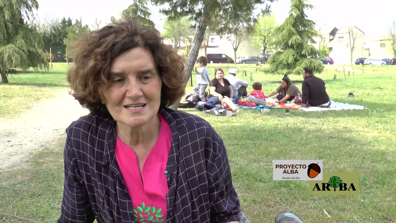 centro de salud perales del rio