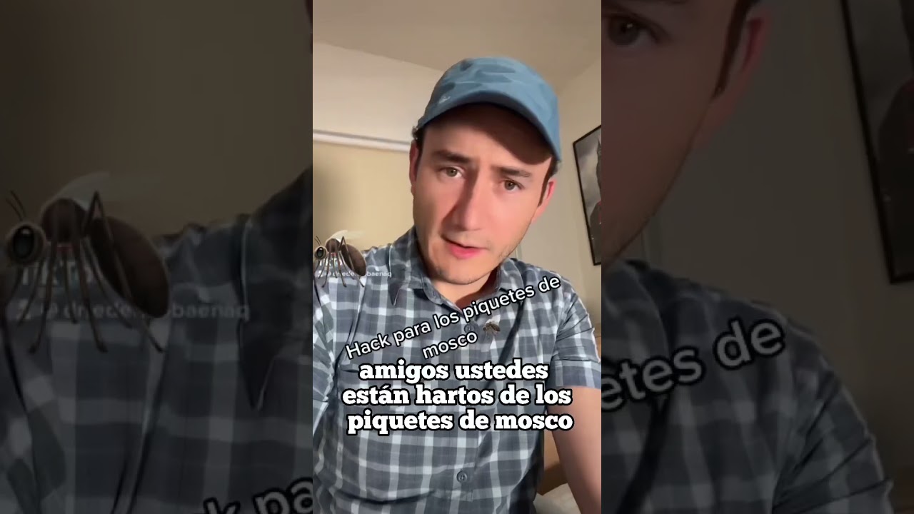 como aliviar el picor de las picaduras de mosquito