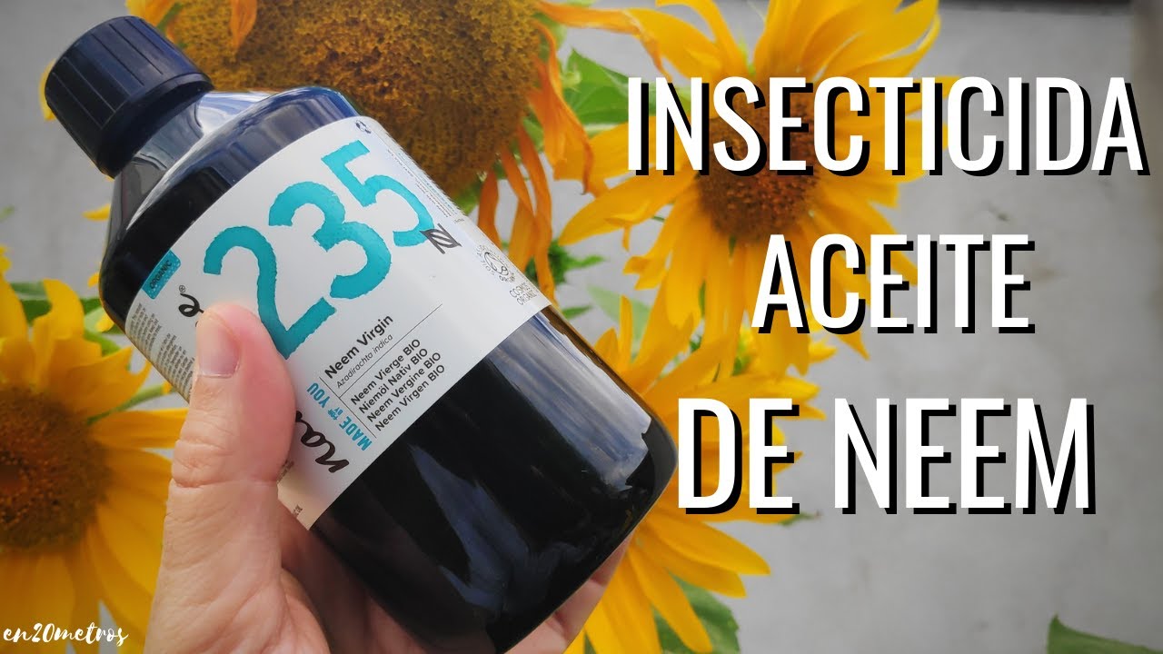 como diluir aceite de neem en agua
