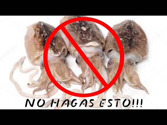 como saber si la sepia está en mal estado