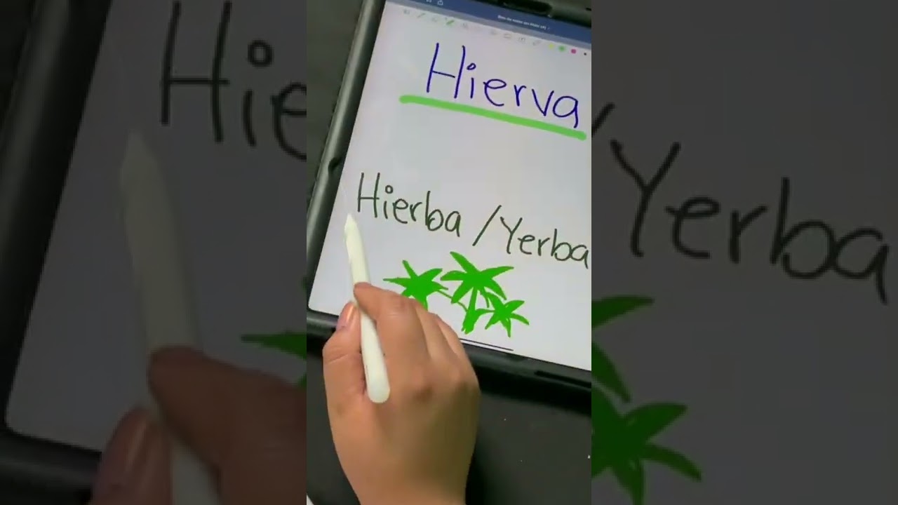 como se escribe hierbas o hiervas