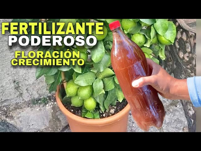 cual es el mejor abono para árboles frutales