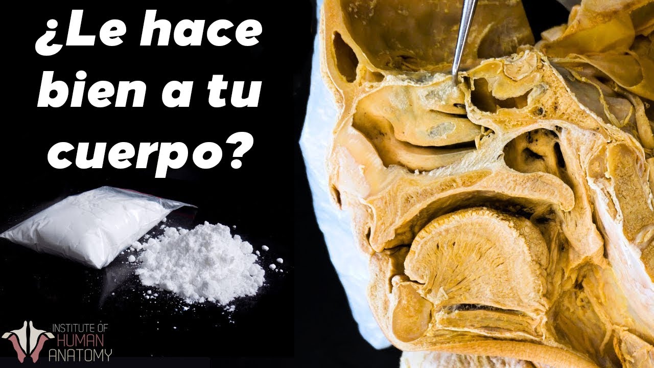 efectos de la cocainas en el cuerpo