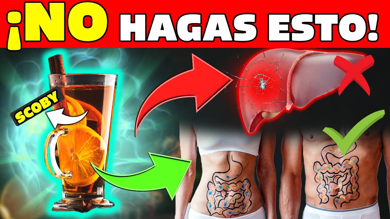 efectos de la kombucha en el cuerpo