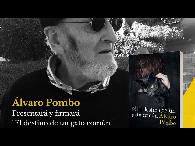 el destino de un gato común